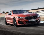 2019 BMW 8-Series M850i Front Wallpapers 150x120 (46)