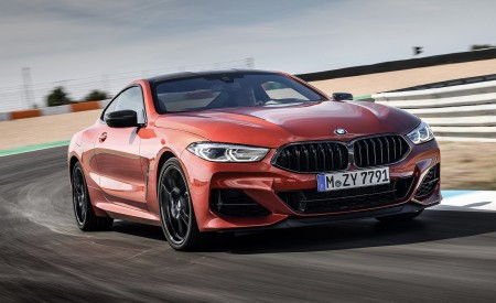 2019 BMW 8-Series M850i Front Wallpapers 450x275 (46)