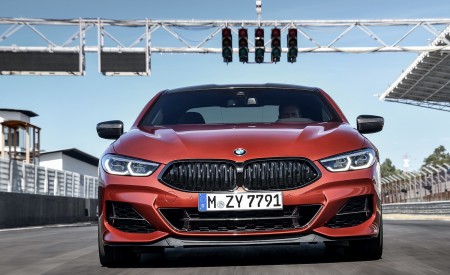 2019 BMW 8-Series M850i Front Wallpapers 450x275 (45)