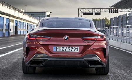 2019 BMW 8-Series M850i Rear Wallpapers 450x275 (76)