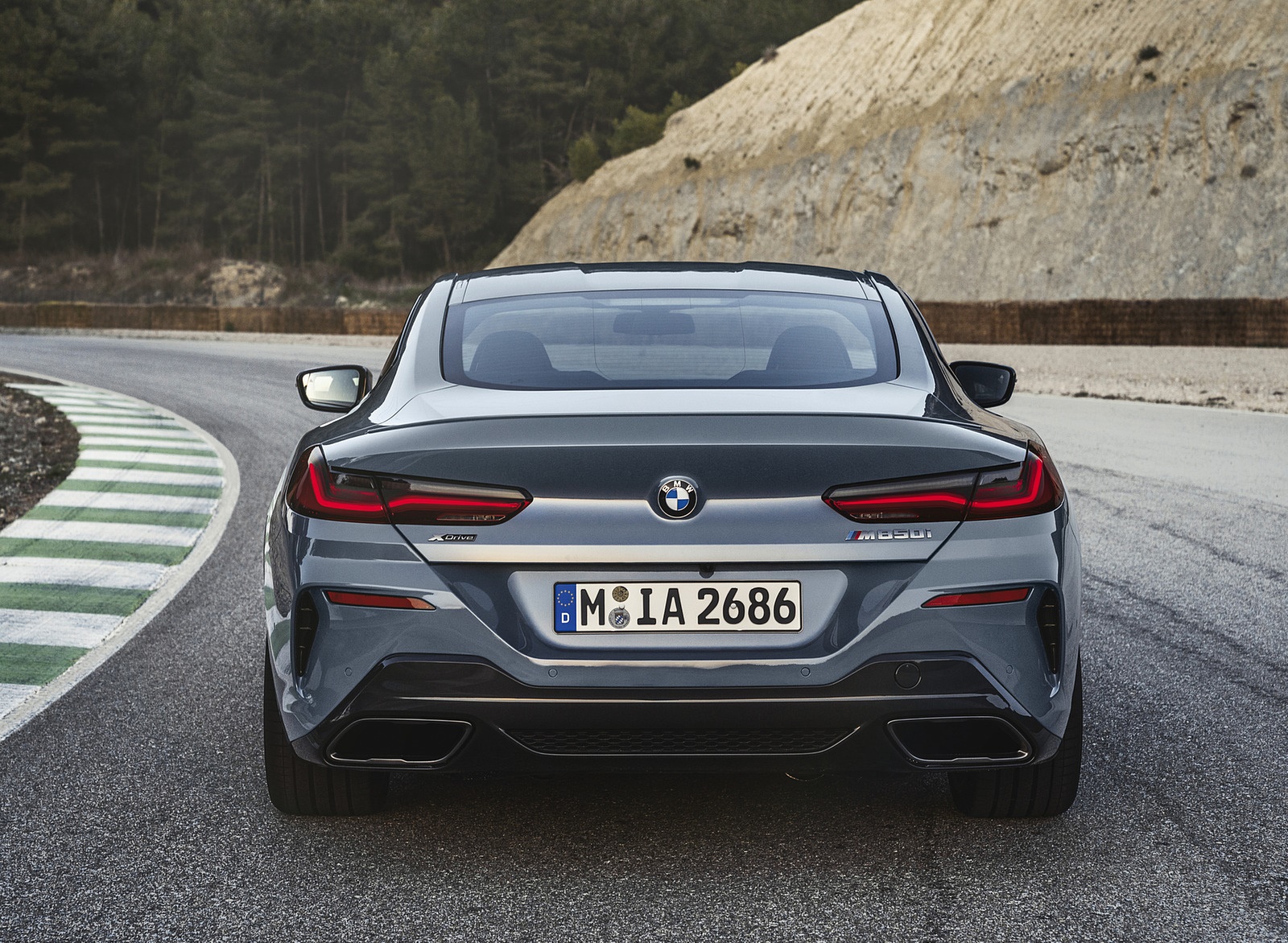 2019 BMW 8-Series M850i Rear Wallpapers (7)