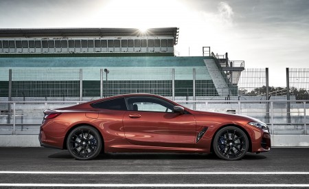 2019 BMW 8-Series M850i Side Wallpapers 450x275 (74)