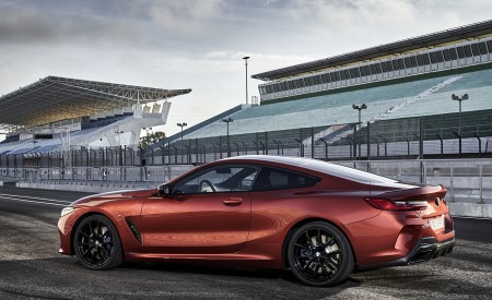 2019 BMW 8-Series M850i Side Wallpapers 450x275 (59)
