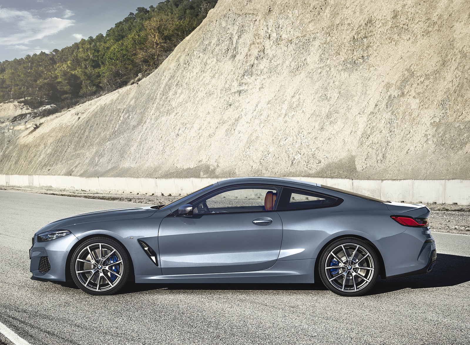 2019 BMW 8-Series M850i Side Wallpapers #21 of 116