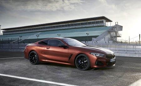 2019 BMW 8-Series M850i Side Wallpapers 450x275 (66)