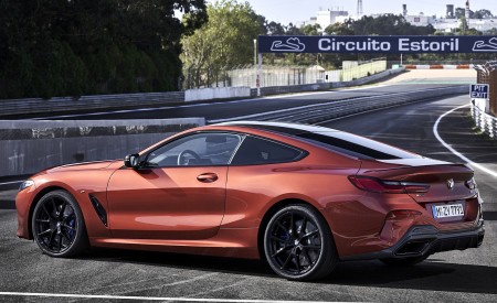 2019 BMW 8-Series M850i Side Wallpapers 450x275 (73)