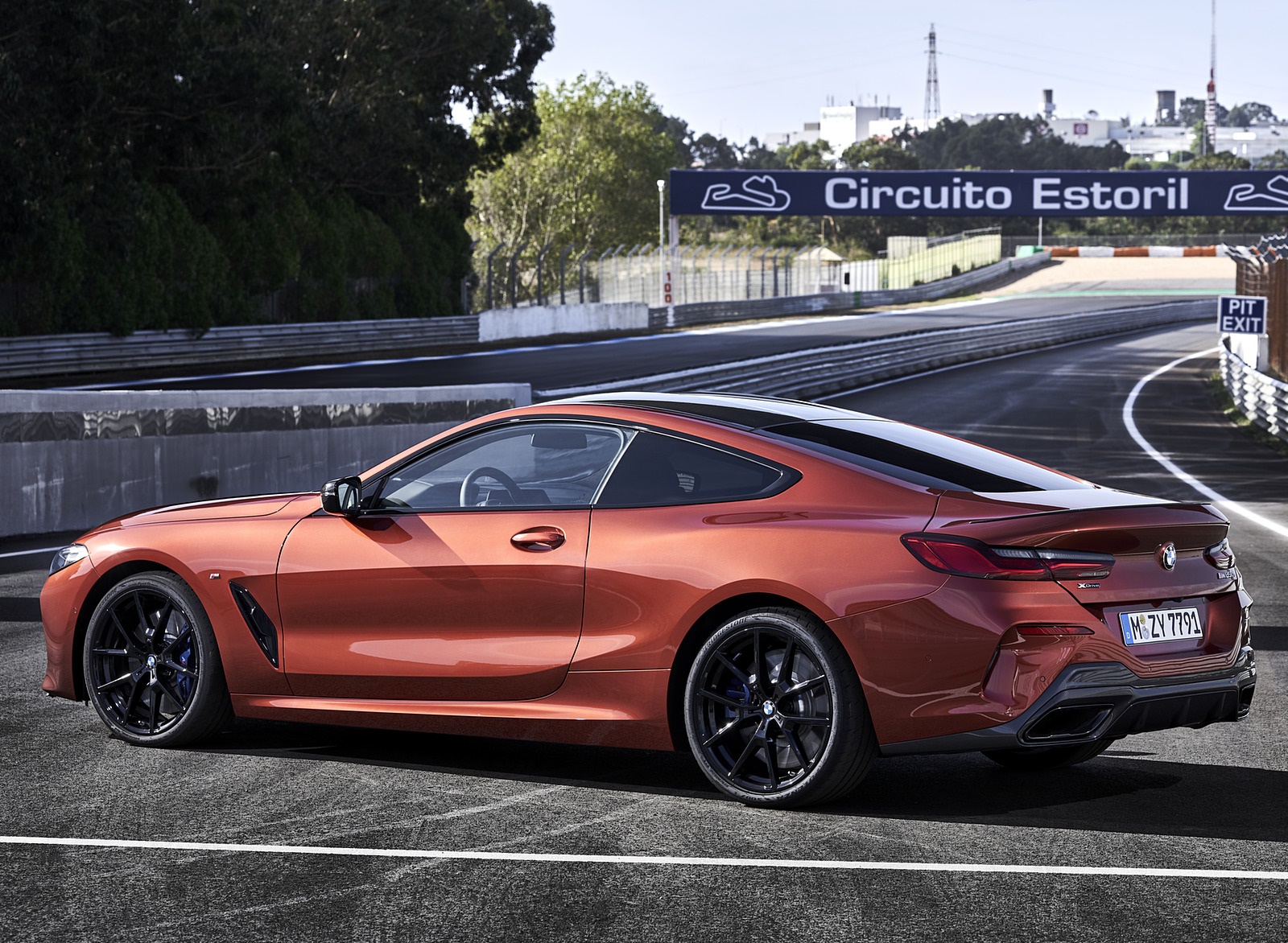 2019 BMW 8-Series M850i Side Wallpapers #73 of 116