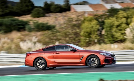 2019 BMW 8-Series M850i Side Wallpapers 450x275 (65)