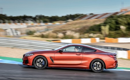 2019 BMW 8-Series M850i Side Wallpapers 450x275 (64)