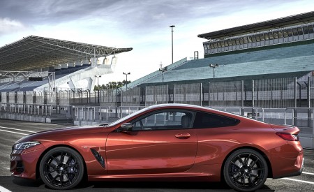 2019 BMW 8-Series M850i Side Wallpapers 450x275 (63)