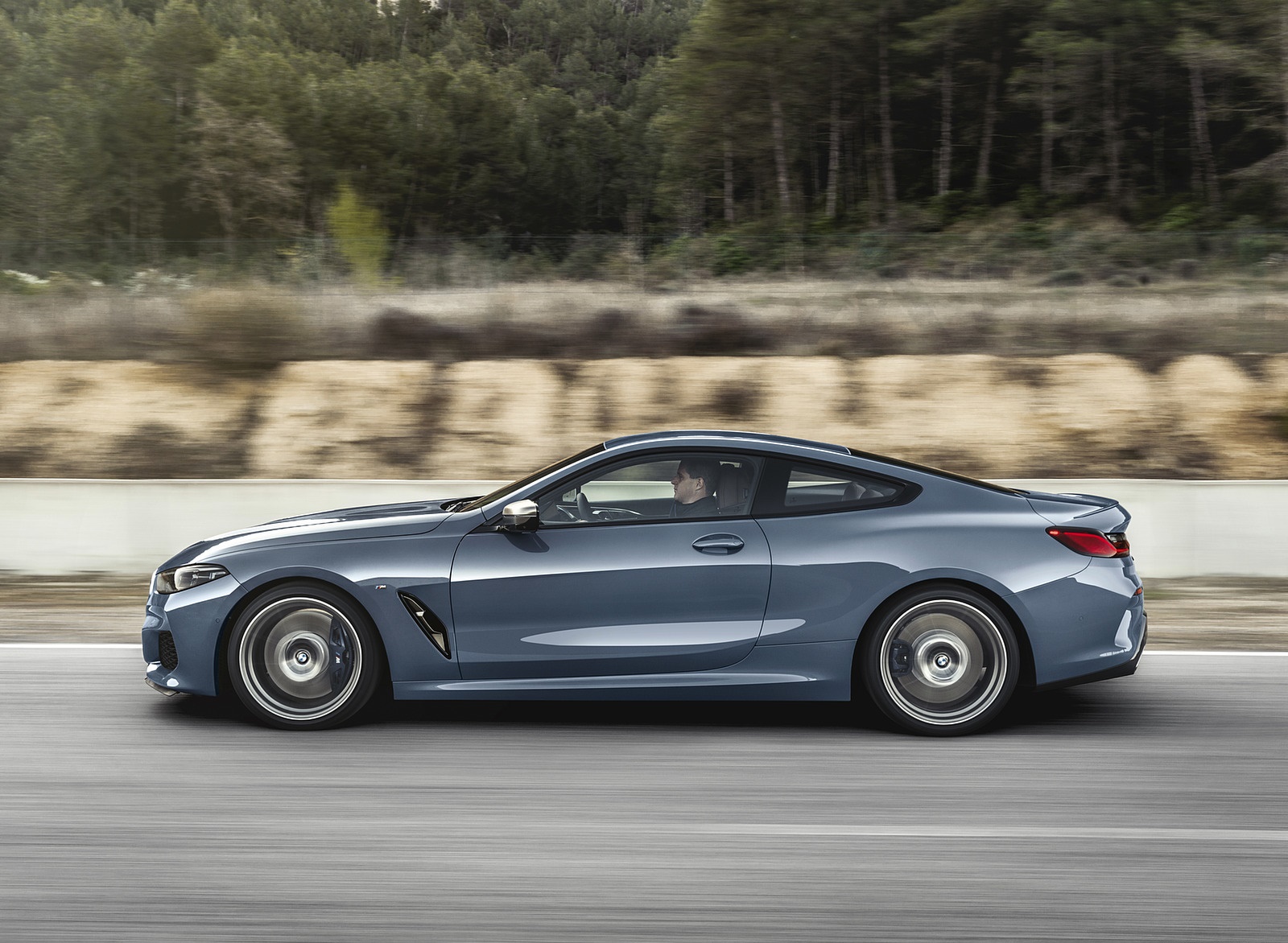 2019 BMW 8-Series M850i Side Wallpapers (5)