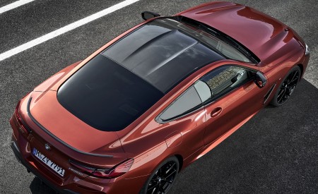 2019 BMW 8-Series M850i Top Wallpapers 450x275 (71)