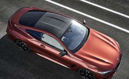 2019 BMW 8-Series M850i Top Wallpapers 450x275 (70)