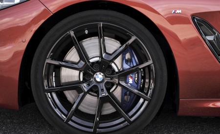 2019 BMW 8-Series M850i Wheel Wallpapers 450x275 (79)