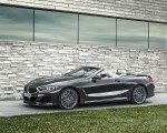 2019 BMW 8 Series M850i xDrive Convertible Side Wallpapers 150x120 (31)