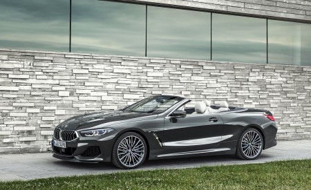 2019 BMW 8 Series M850i xDrive Convertible Side Wallpapers 450x275 (31)