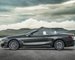 2019 BMW 8 Series M850i xDrive Convertible Side Wallpapers 150x120