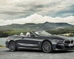 2019 BMW 8 Series M850i xDrive Convertible Side Wallpapers 150x120