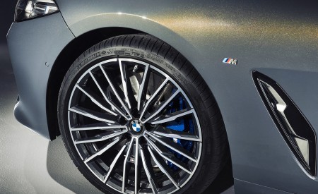 2019 BMW 8 Series M850i xDrive Convertible Wheel Wallpapers 450x275 (49)