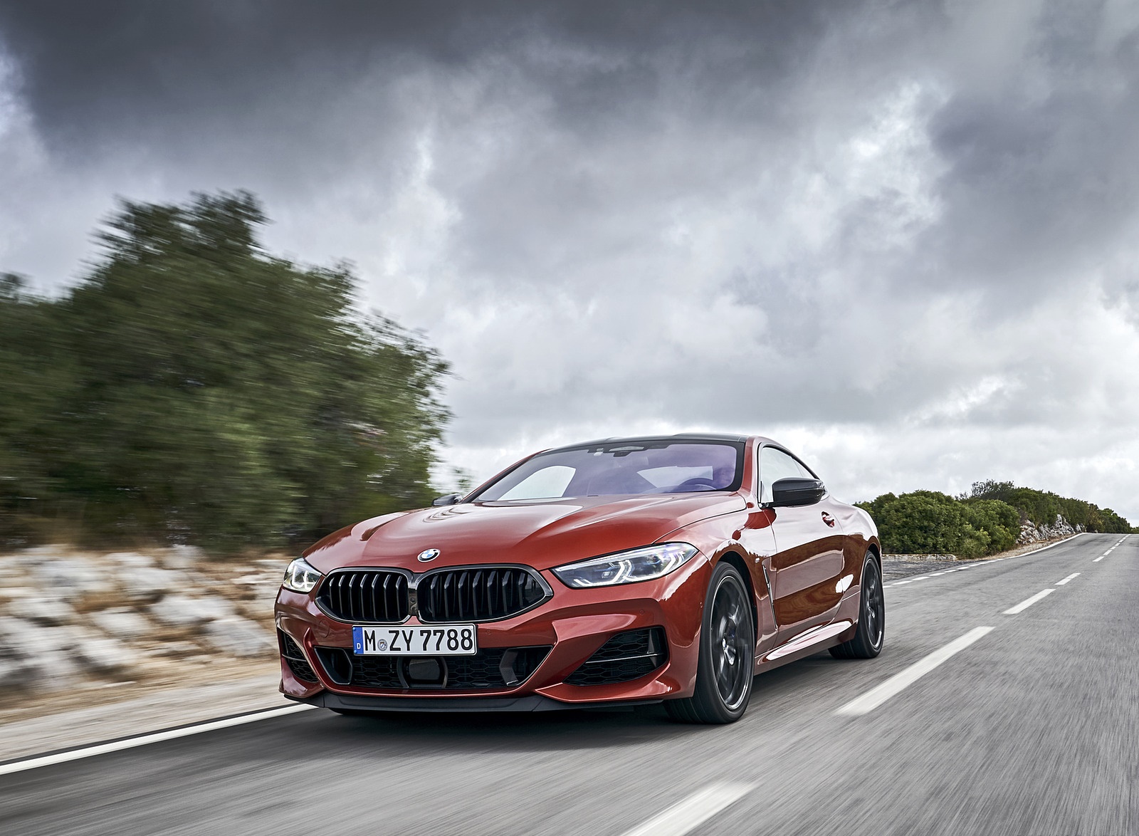 2019 BMW 8-Series M850i xDrive Front Three-Quarter Wallpapers #85 of 116