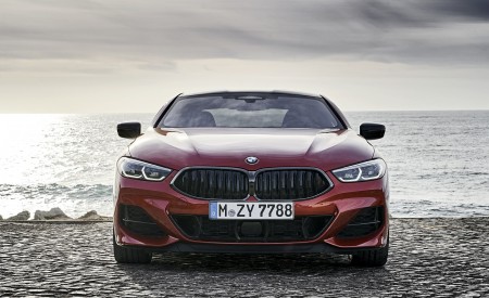 2019 BMW 8-Series M850i xDrive Front Wallpapers 450x275 (103)