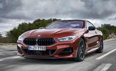 2019 BMW 8-Series M850i xDrive Front Wallpapers 450x275 (84)