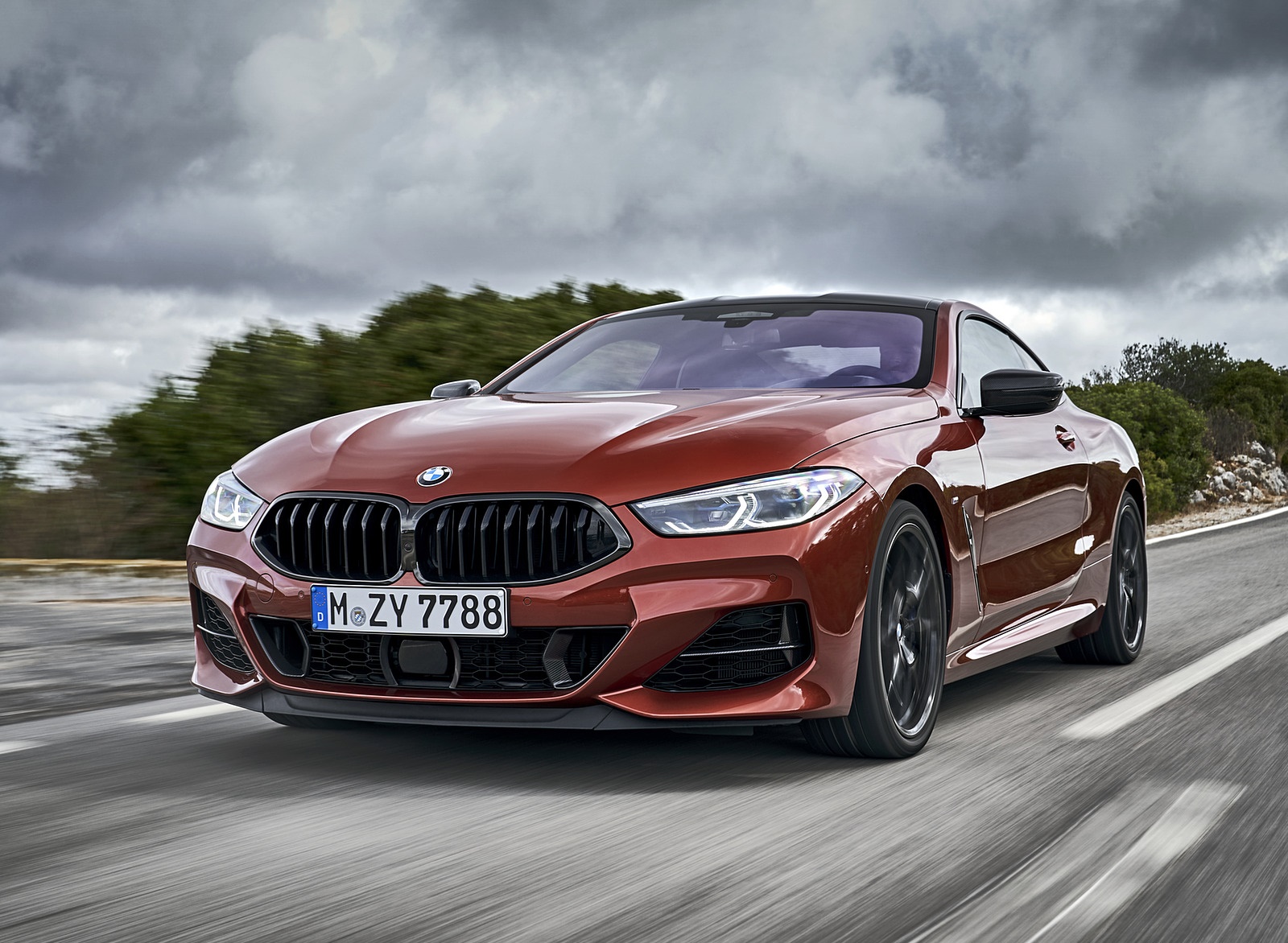 2019 BMW 8-Series M850i xDrive Front Wallpapers #84 of 116