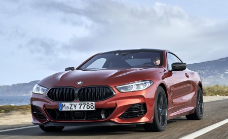 2019 BMW 8-Series M850i xDrive Front Wallpapers 450x275 (83)