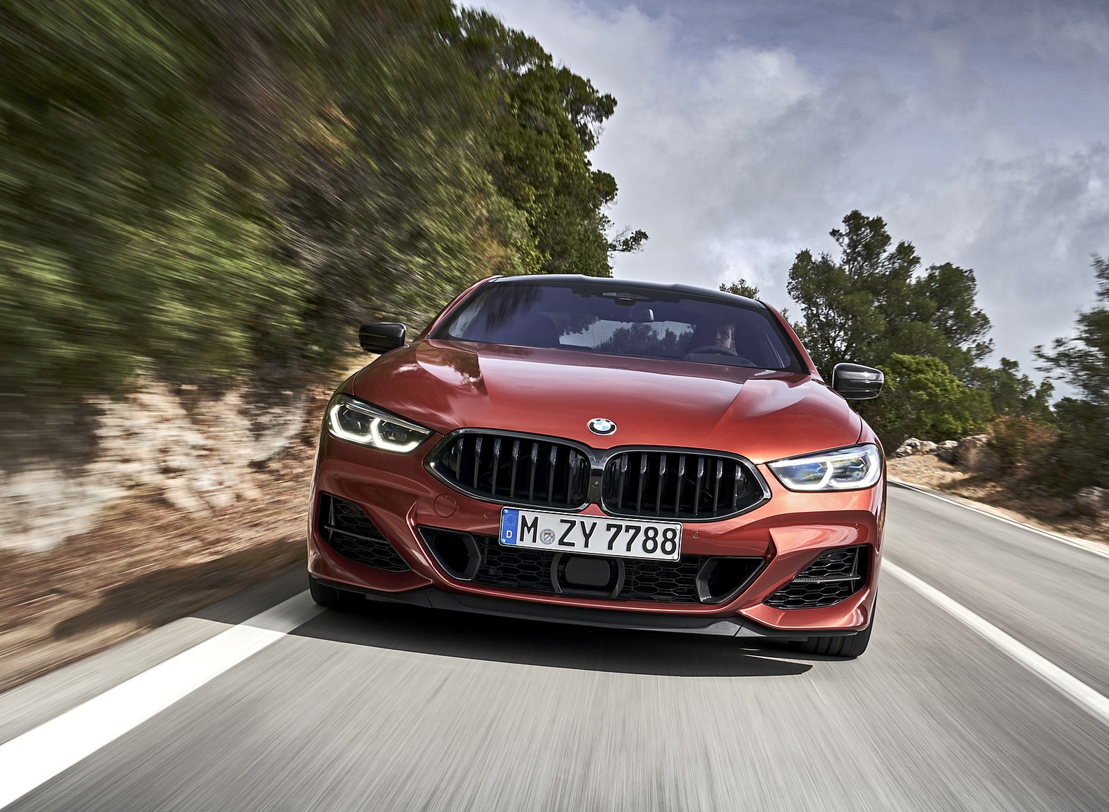2019 BMW 8-Series M850i xDrive Front Wallpapers #82 of 116
