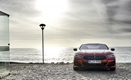 2019 BMW 8-Series M850i xDrive Front Wallpapers 450x275 (102)