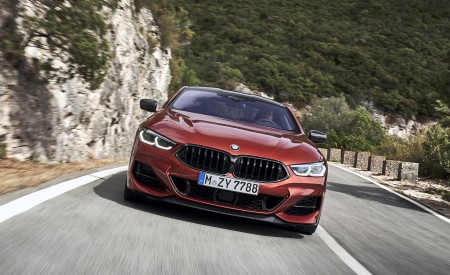 2019 BMW 8-Series M850i xDrive Front Wallpapers 450x275 (81)