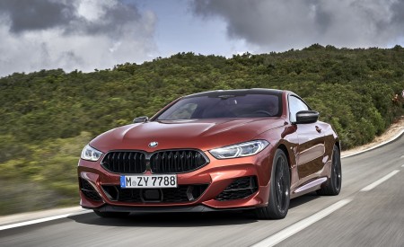 2019 BMW 8-Series M850i xDrive Front Wallpapers 450x275 (80)