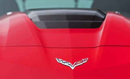2019 Chevrolet Corvette ZR1 Badge Wallpapers 450x275 (107)