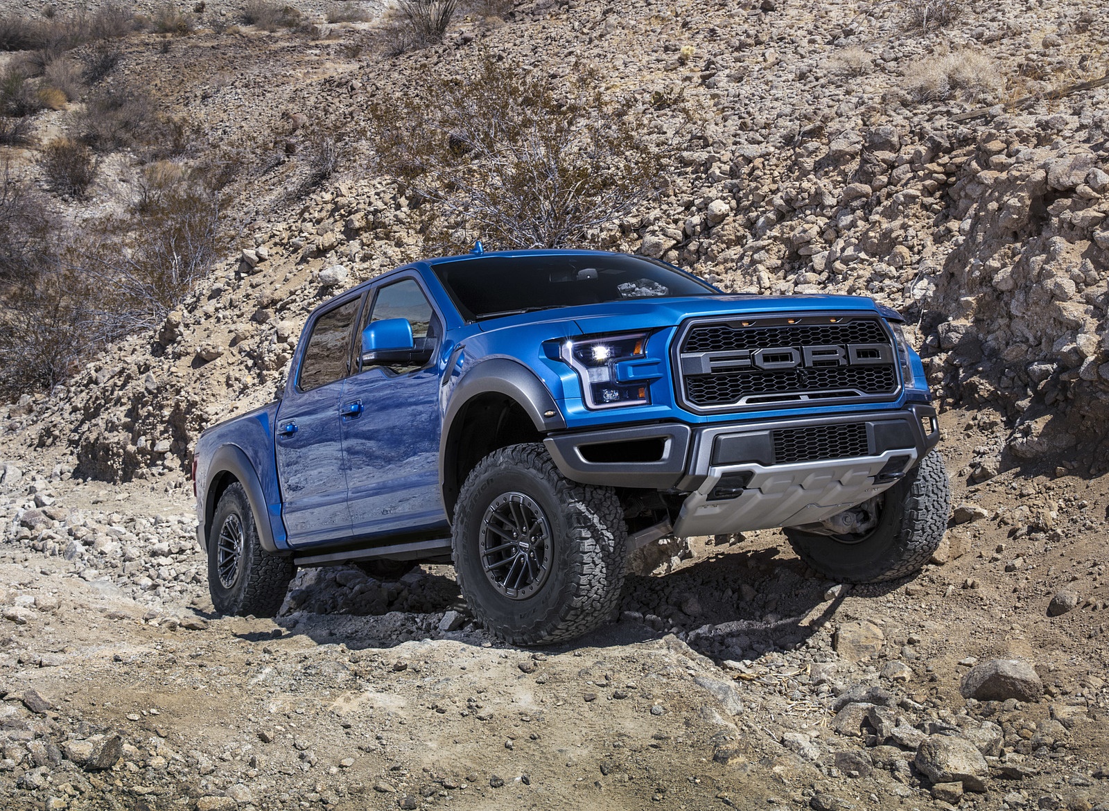 2019 Ford F-150 Raptor Front Three-Quarter Wallpapers (1)