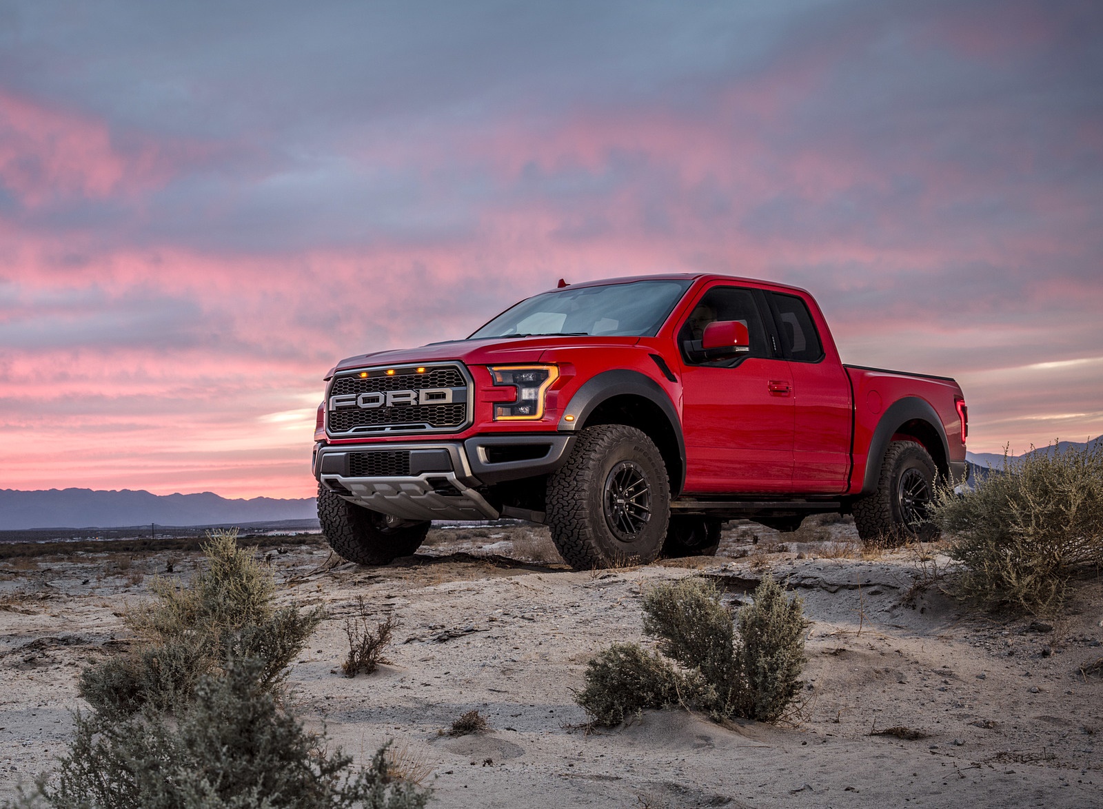2019 Ford F-150 Raptor Front Three-Quarter Wallpapers #49 of 59