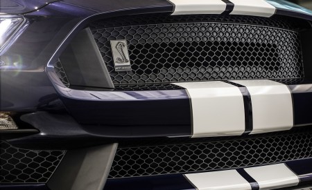 2019 Ford Mustang Shelby GT350 Grill Wallpapers 450x275 (8)