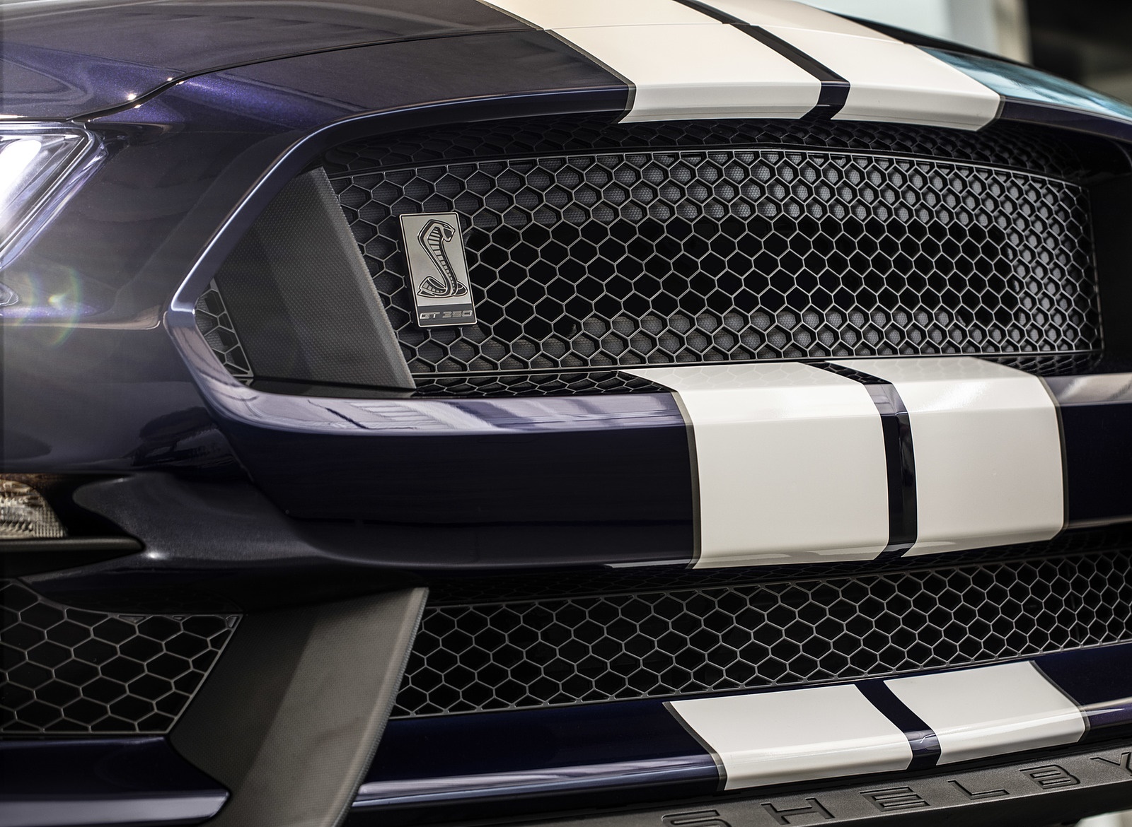 2019 Ford Mustang Shelby GT350 Grill Wallpapers (8)