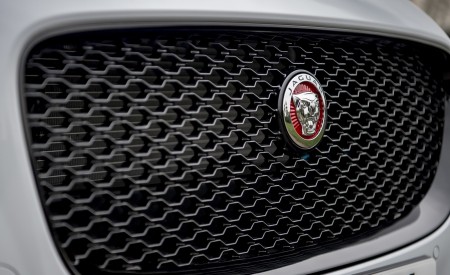 2019 Jaguar XF Sportbrake 20d AWD R-Sport Grill Wallpapers 450x275 (38)