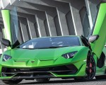 2019 Lamborghini Aventador SVJ Doors Up Detail Wallpapers 150x120