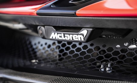 2019 McLaren Senna (Color: Delta Red) Detail Wallpapers 450x275 (79)