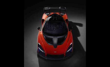 2019 McLaren Senna Top Wallpapers 450x275 (122)