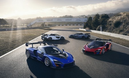 2019 McLaren Senna Wallpapers 450x275 (69)