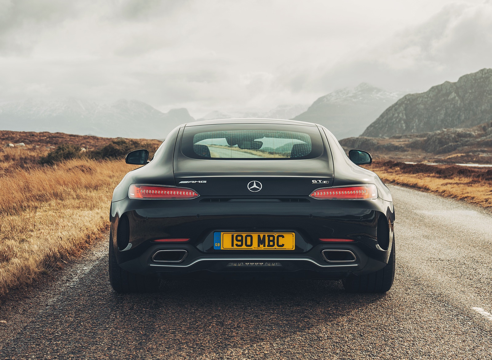 2019 Mercedes-AMG GT C Coupe Rear Wallpapers #23 of 59
