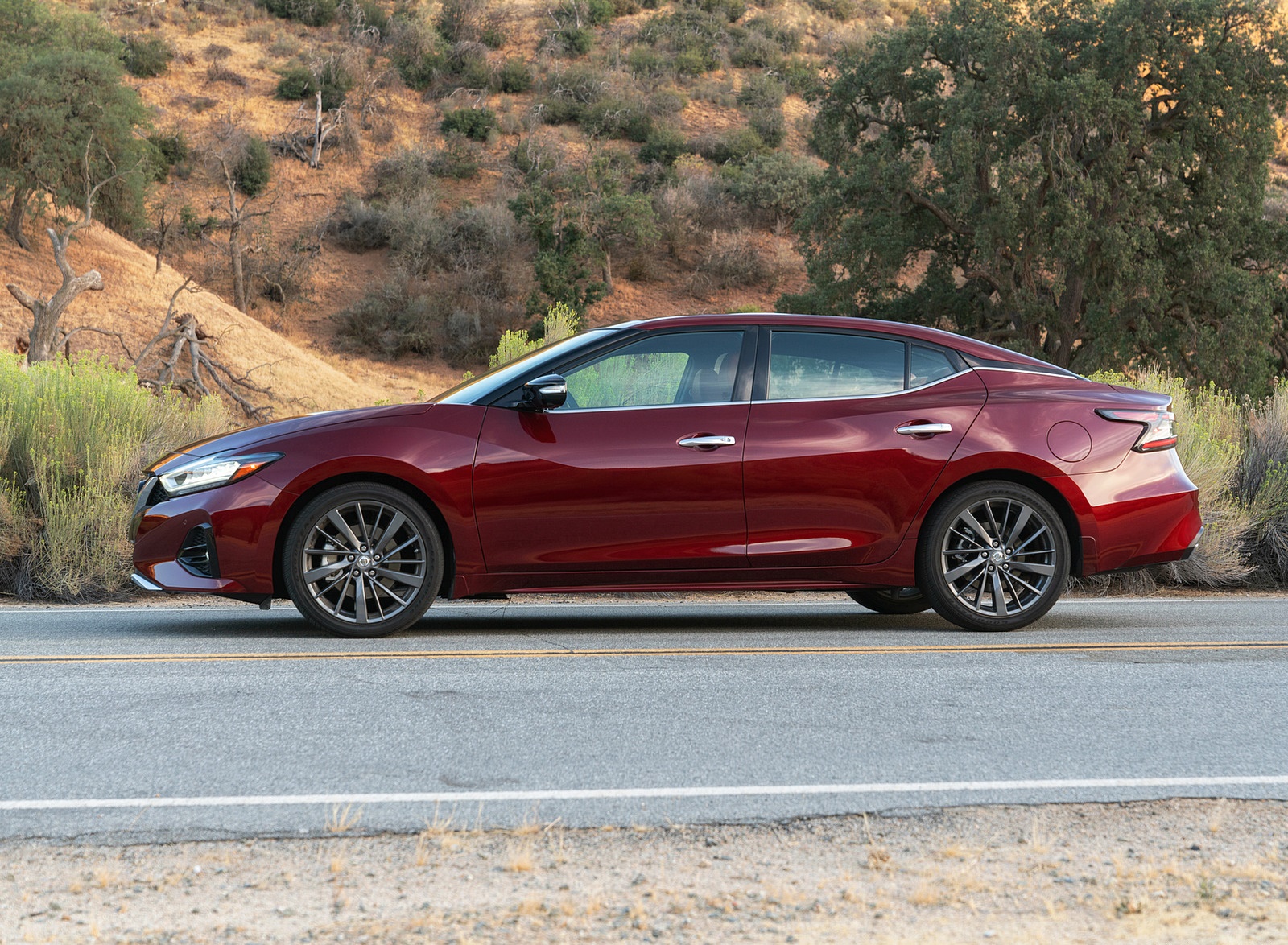 2019 Nissan Maxima Side Wallpapers (9)
