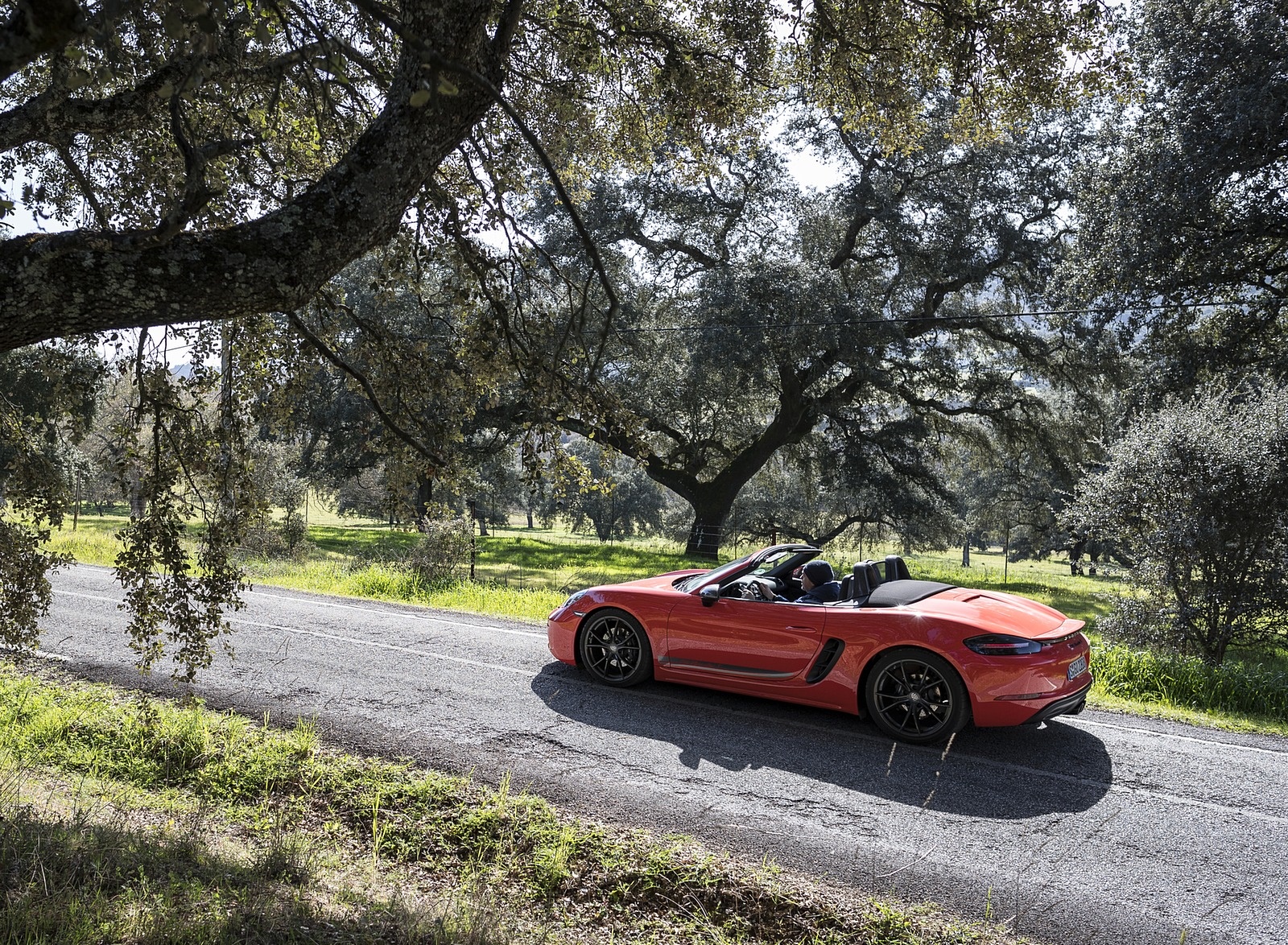 2019 Porsche 718 Boxster T (Color: Lava Orange) Rear Three-Quarter Wallpapers #65 of 133