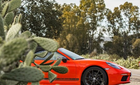 2019 Porsche 718 Boxster T (Color: Lava Orange) Wheel Wallpapers 450x275 (72)