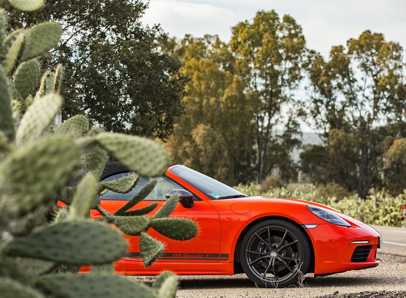 2019 Porsche 718 Boxster T (Color: Lava Orange) Wheel Wallpapers #72 of 133