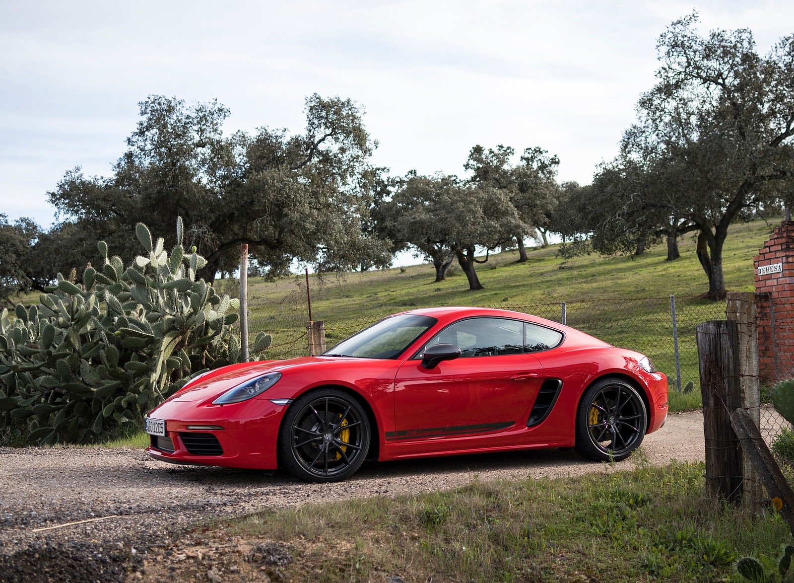 2019 Porsche 718 Cayman T (Color: Guards Red) Side Wallpapers #45 of 133