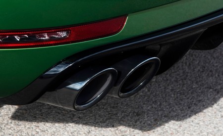 2019 Porsche Macan S (Color: Mamba Green Metallic) Exhaust Wallpapers 450x275 (24)