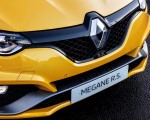 2019 Renault Megane R.S. Trophy Grill Wallpapers 150x120